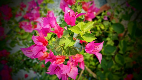 Panneaux muraux : 10 idées pour un intérieur contemporain distinctif