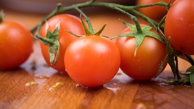 Récolte et conservation des graines de tomates : comment s'y prendre ?