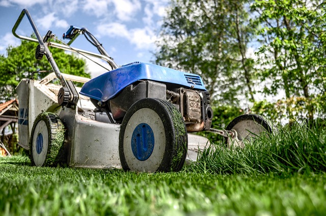 Quand faire l’entretien de son jardin ?