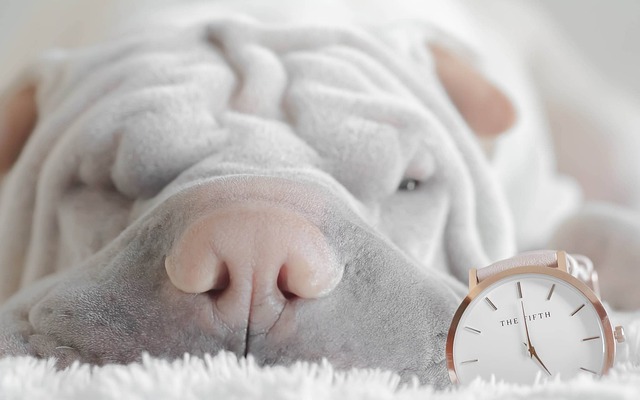 Quelques astuces pour choisir une horloge de salon idéal pour votre pièce ?