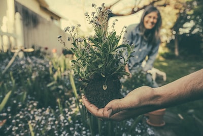 Jardin urbain : tout ce qu’il faut savoir