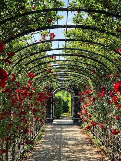 Quelle est la différence entre un paysagiste et un jardinier ?