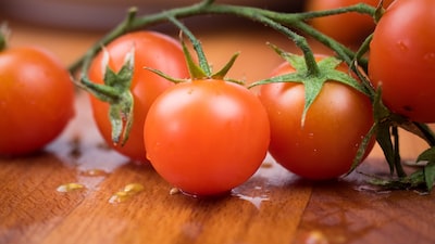 Récolte et conservation des graines de tomates : comment s’y prendre ?