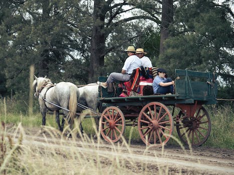 Comment choisir un chariot de jardin ?