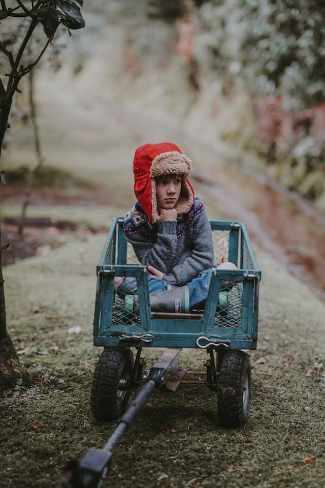 Comment acheter et entretenir un chariot de jardin ?