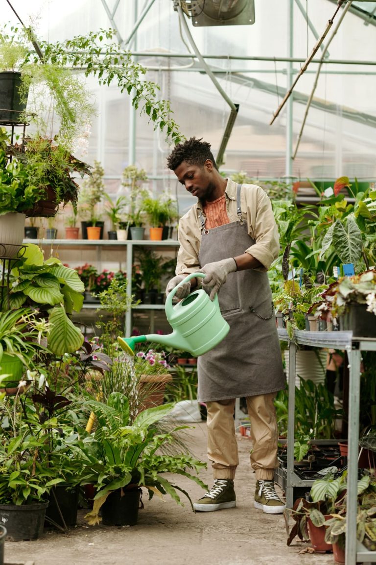 Faire confiance à un élagueur à Montauban pour l’élagage des arbres du jardin